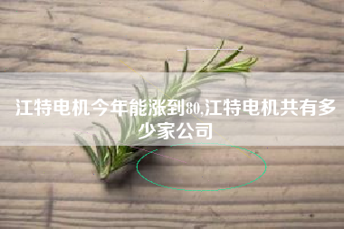 江特电机今年能涨到80,江特电机共有多少家公司