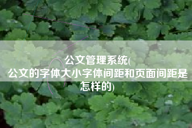公文管理系统(
公文的字体大小字体间距和页面间距是怎样的) 公文管理系统(
公文的字体大小字体间距和页面间距是怎样的)