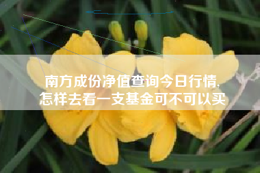 南方成份净值查询今日行情,
怎样去看一支基金可不可以买 南方成份净值查询今日行情,
怎样去看一支基金可不可以买