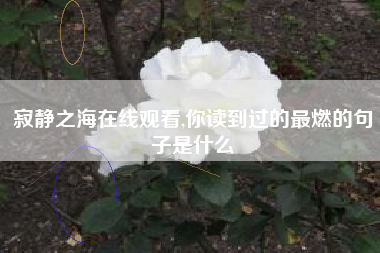 详细阅读:寂静之海在线观看,你读到过的最燃的句子是什么 寂静之海在线观看,你读到过的最燃的句子是什么