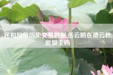 民和股份历史交易数据,岳云鹏在德云社能做主吗