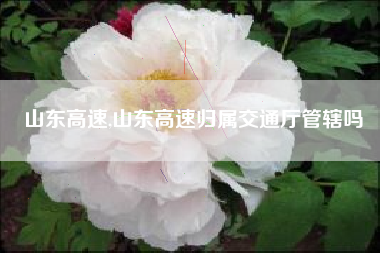 山东高速,山东高速归属交通厅管辖吗