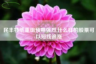 详细阅读:民丰特纸重组预期强烈,什么样的股票可以短线追涨 民丰特纸重组预期强烈,什么样的股票可以短线追涨