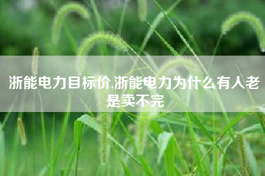 详细阅读:浙能电力目标价,浙能电力为什么有人老是卖不完 浙能电力目标价,浙能电力为什么有人老是卖不完