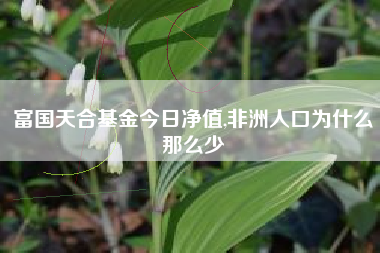 富国天合基金今日净值,非洲人口为什么那么少