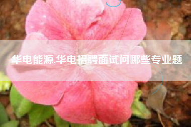 华电能源,华电招聘面试问哪些专业题