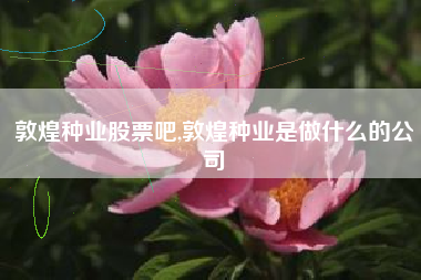 敦煌种业股票吧,敦煌种业是做什么的公司