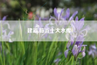 建溢,临沂十大水库