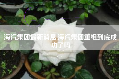 海汽集团最新消息,海汽集团重组到底成功了吗