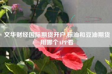 文华财经国际期货开户,棕油和豆油期货用哪个APP看