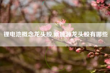 锂电池概念龙头股,新能源龙头股有哪些