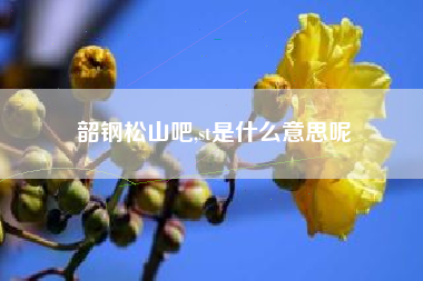 韶钢松山吧,st是什么意思呢