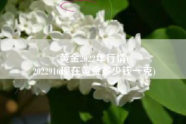 黄金2022年行情(
2022916现在黄金多少钱一克) 黄金2022年行情(
2022916现在黄金多少钱一克)
