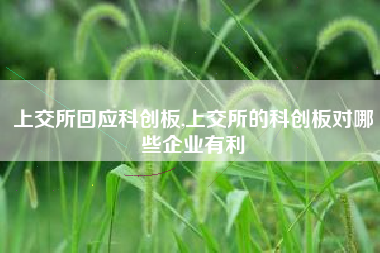 上交所回应科创板,上交所的科创板对哪些企业有利