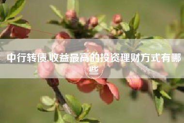 中行转债,收益最高的投资理财方式有哪些