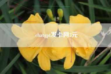 chatgpt发卡网3元