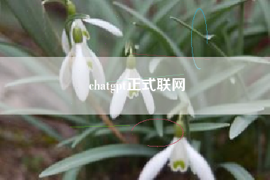 chatgpt正式联网