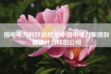 国电电力利好消息,华中国电电力集团到底是什么样的公司