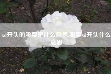 xd开头的股票是什么意思,股票xd开头什么意思