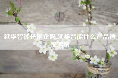 延华智能是国企吗,延华智能什么产品适配鸿蒙