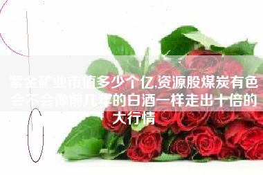 紫金矿业市值多少个亿,资源股煤炭有色会不会像前几年的白酒一样走出十倍的大行情