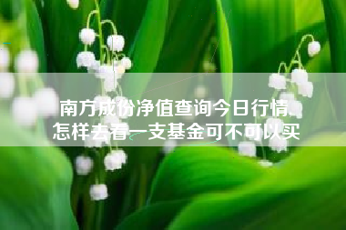 南方成份净值查询今日行情,
怎样去看一支基金可不可以买 南方成份净值查询今日行情,
怎样去看一支基金可不可以买