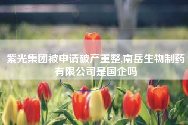 紫光集团被申请破产重整,南岳生物制药有限公司是国企吗