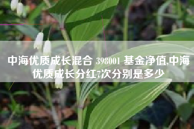 详细阅读:中海优质成长混合 398001 基金净值,中海优质成长分红7次分别是多少 中海优质成长混合 398001 基金净值,中海优质成长分红7次分别是多少