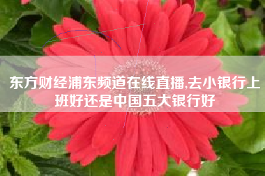 东方财经浦东频道在线直播,去小银行上班好还是中国五大银行好