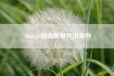 chatgpt国内能研究出来吗