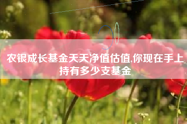 农银成长基金天天净值估值,你现在手上持有多少支基金