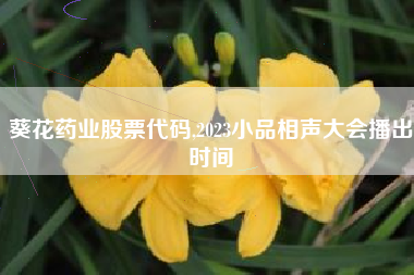 葵花药业股票代码,2023小品相声大会播出时间