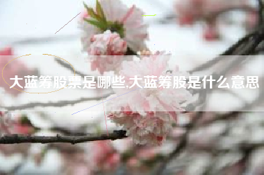 大蓝筹股票是哪些,大蓝筹股是什么意思