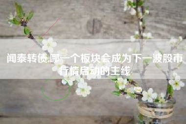 闻泰转债,哪一个板块会成为下一波股市行情启动的主线