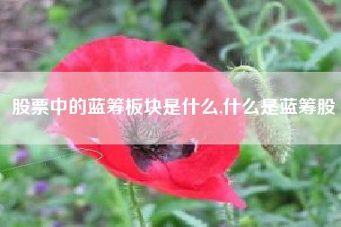 股票中的蓝筹板块是什么,什么是蓝筹股