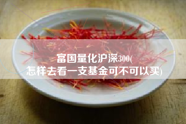 富国量化沪深300(
怎样去看一支基金可不可以买) 富国量化沪深300(
怎样去看一支基金可不可以买)