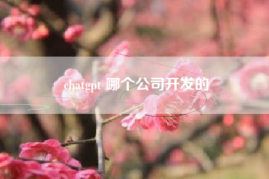 chatgpt 哪个公司开发的