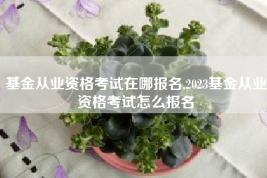 基金从业资格考试在哪报名,2023基金从业资格考试怎么报名