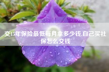 交15年保险最低每月拿多少钱,自己买社保怎么交钱