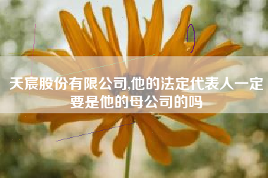天宸股份有限公司,他的法定代表人一定要是他的母公司的吗