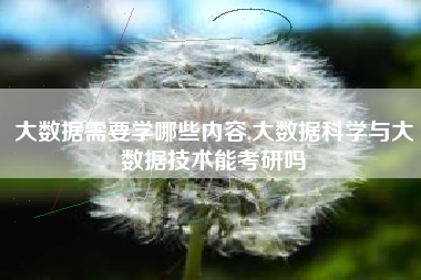 大数据需要学哪些内容,大数据科学与大数据技术能考研吗