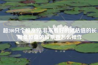 超200只个股涨停,非常看好的低估值的长期低位盘的股票要怎么操作