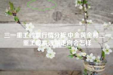 三一重工股票行情分析,中金黄金和三一重工股票近期走向会怎样