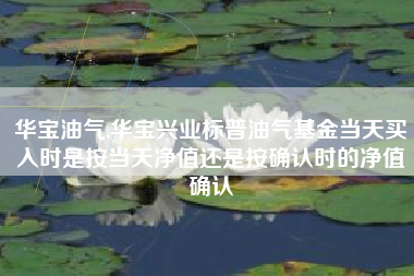 华宝油气,华宝兴业标普油气基金当天买入时是按当天净值还是按确认时的净值确认