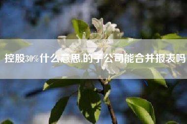 控股30%什么意思,的子公司能合并报表吗