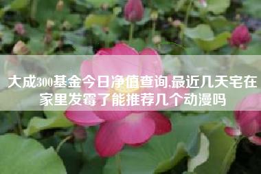 大成300基金今日净值查询,最近几天宅在家里发霉了能推荐几个动漫吗