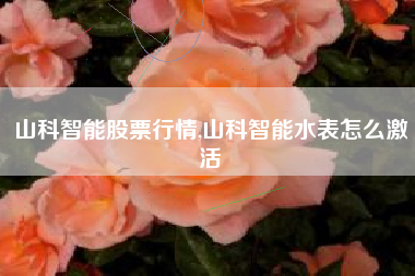 山科智能股票行情,山科智能水表怎么激活