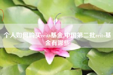 个人如何购买reits基金,中国第二批reits基金有哪些