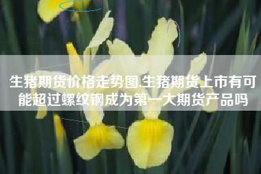生猪期货价格走势图,生猪期货上市有可能超过螺纹钢成为第一大期货产品吗