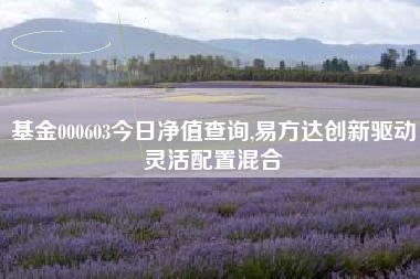 基金000603今日净值查询,易方达创新驱动灵活配置混合